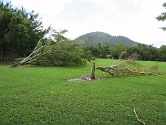 Cairns44 Cyclone Larry